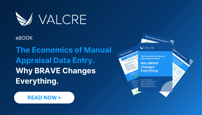 BRAVE blog post featured image